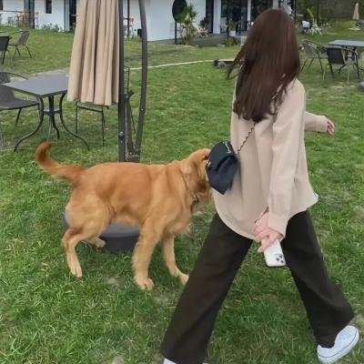看她轻轻的飞起